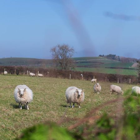 אברגלה Beautiful Countryside Cottage On The North Wales Coast מראה חיצוני תמונה