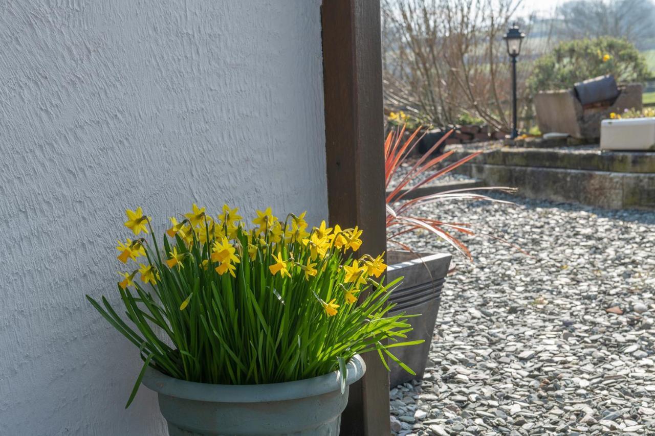 אברגלה Beautiful Countryside Cottage On The North Wales Coast מראה חיצוני תמונה
